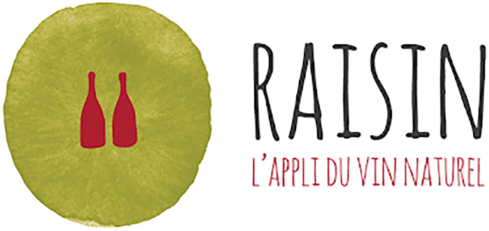 Logo raisin digital